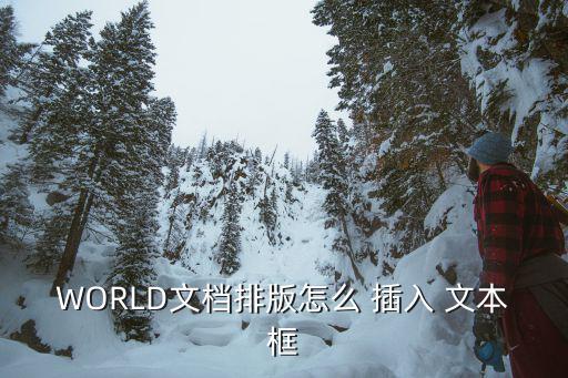 插入文本框,怎么用文本盒瀏覽器打開?看看!
