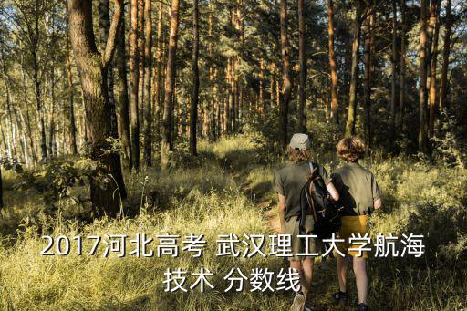 武漢理工大學分數線