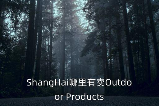 上海市閔行區(qū)華漕鎮(zhèn)燃?xì)夤荆虾Ｈ斟\升國際貿(mào)易有限公司