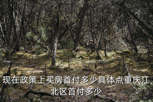 重慶市江北區商業指導，重慶江北區觀音橋商圈具備什么商圈條件