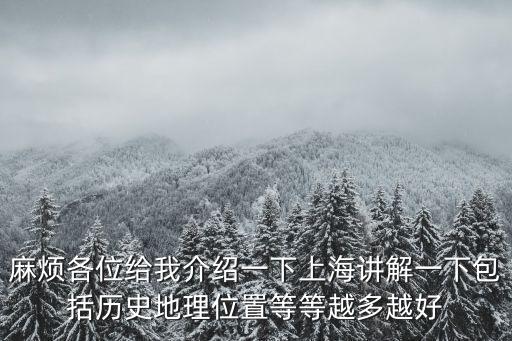 麻煩各位給我介紹一下上海講解一下包括歷史地理位置等等越多越好