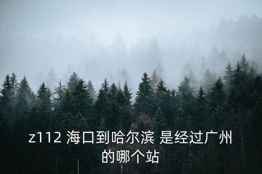 z112 海口到哈爾濱 是經過廣州的哪個站