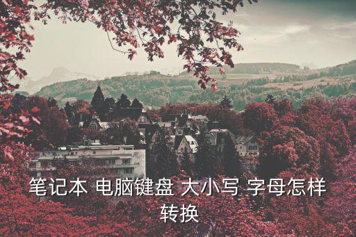 筆記本 電腦鍵盤 大小寫 字母怎樣 轉(zhuǎn)換