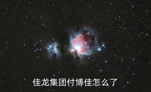佳龍集團付博佳怎么了