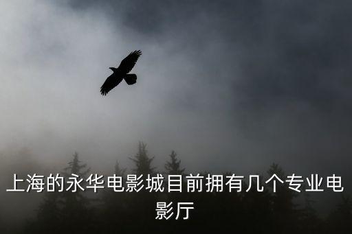 上海的永華電影城目前擁有幾個專業(yè)電影廳
