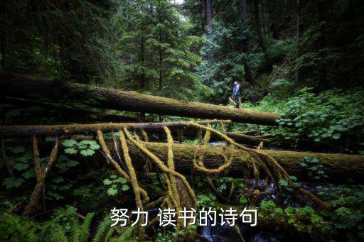  努力 讀書的詩句