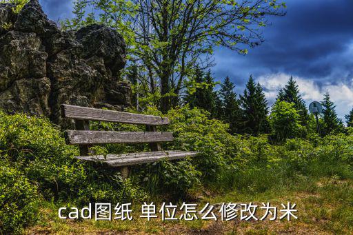  cad圖紙 單位怎么修改為米