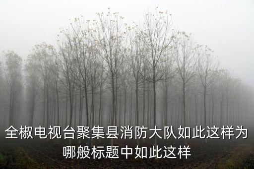 重慶市奉節縣消防隊牟來斌，全椒電視臺聚集縣消防大隊如此這樣為哪般標題中如此這樣