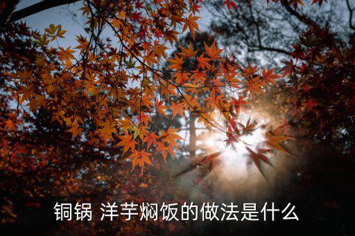 銅鍋 洋芋燜飯的做法是什么