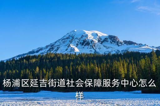 楊浦區(qū)延吉街道社會(huì)保障服務(wù)中心怎么樣