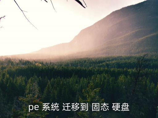 pe 系統 遷移到 固態 硬盤