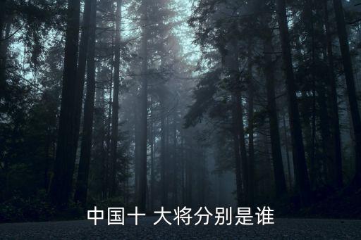 10大將,中國10大將軍銜之爭始末