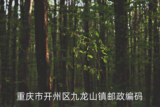 重慶市開州區(qū)九龍山鎮(zhèn)郵政編碼
