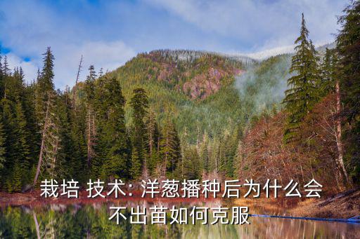  栽培 技術(shù): 洋蔥播種后為什么會不出苗如何克服