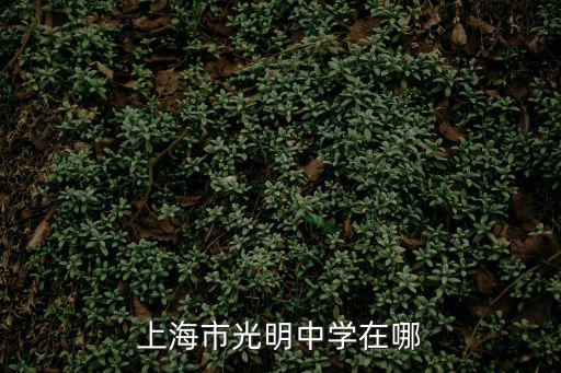 上海市光明中學在哪
