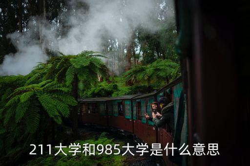 211大學和985大學是什么意思