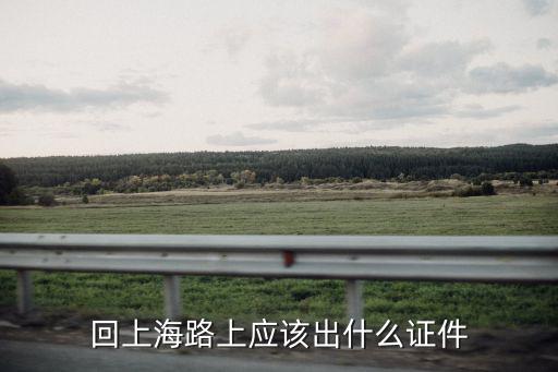 回上海路上應該出什么證件