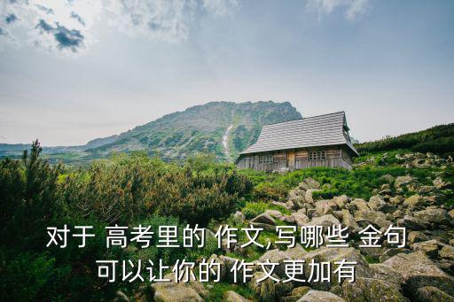對(duì)于 高考里的 作文,寫(xiě)哪些 金句可以讓你的 作文更加有