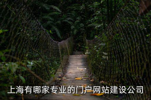 上海網(wǎng)站建設(shè)公司，上海企業(yè)網(wǎng)站建設(shè)公司哪家好能夠提供專業(yè)的中文網(wǎng)站建設(shè)外貿(mào)