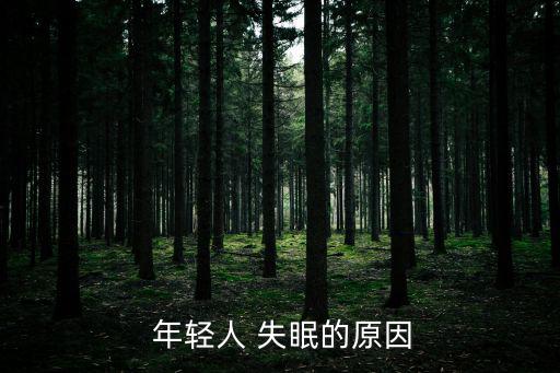  年輕人 失眠的原因