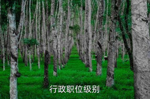 行政職位級別