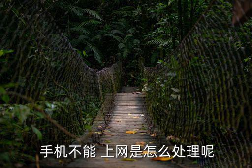  手機(jī)不能 上網(wǎng)是怎么處理呢
