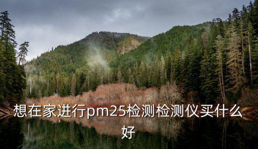 想在家進(jìn)行pm25檢測(cè)檢測(cè)儀買(mǎi)什么好