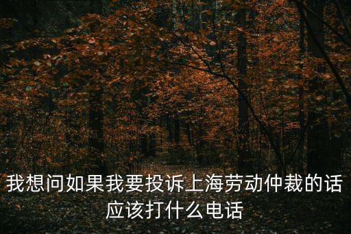我想問如果我要投訴上海勞動仲裁的話應該打什么電話