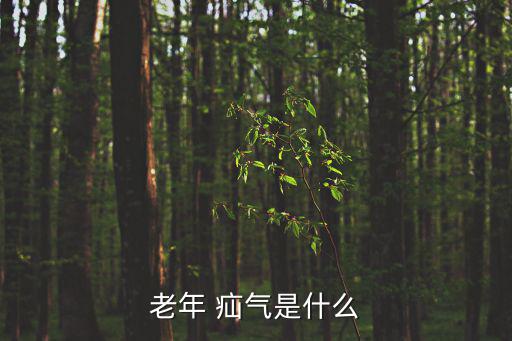 老年 疝氣是什么