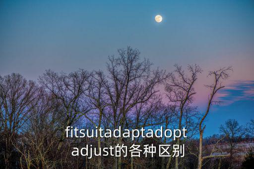 adjust名詞,英國(guó)漢莎航空公司推出數(shù)碼產(chǎn)品及服務(wù)業(yè)