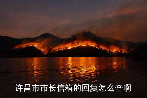 許昌市長信箱，怎樣查在許昌市長信箱投的信的結果