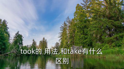 took的 用法,和take有什么區別