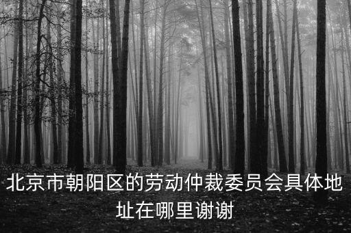 北京市朝陽區的勞動仲裁委員會具體地址在哪里謝謝