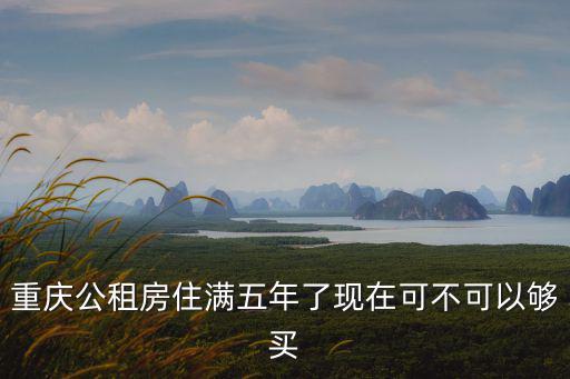 重慶公租房住滿五年了現(xiàn)在可不可以夠買