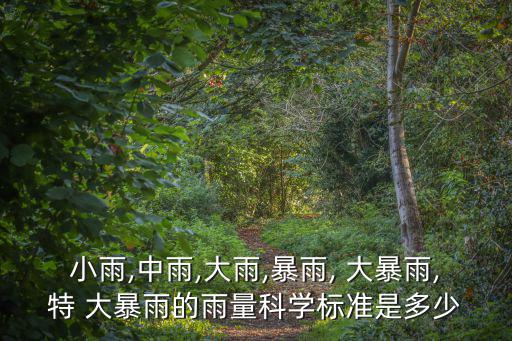 小雨,中雨,大雨,暴雨, 大暴雨,特 大暴雨的雨量科學標準是多少