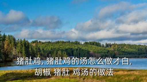  豬肚雞, 豬肚雞的湯怎么做才白, 胡椒 豬肚 雞湯的做法