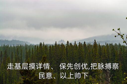 走基層摸詳情、 保先創(chuàng)優(yōu),把脈搏察民意、以上帥下