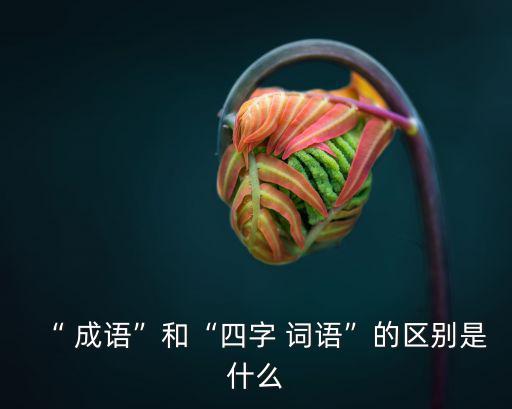 “ 成語”和“四字 詞語”的區別是什么