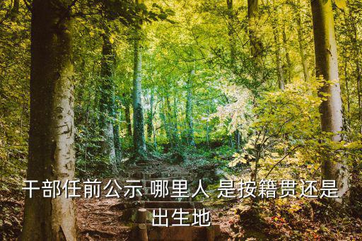 大興組工任前公示，木立士蟲穴相西田日雨工心喬里馬