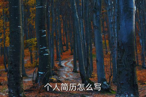 個人簡歷怎么寫