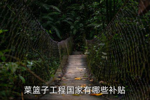 菜籃子工程國家有哪些補貼