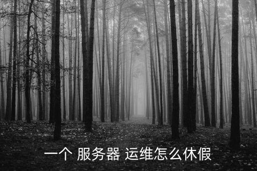 一個 服務器 運維怎么休假