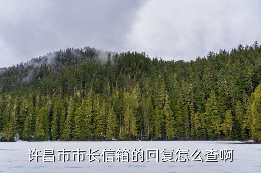 許昌市市長信箱的回復怎么查啊