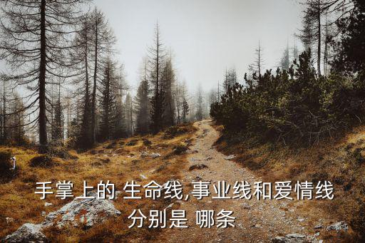 手掌生命線是哪條