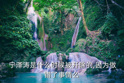  寧澤濤是什么時候被開除的,因為做錯了事情么