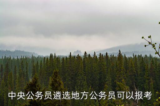 中央公務(wù)員遴選地方公務(wù)員可以報(bào)考
