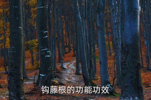 鉤藤的作用與功效,鉤藤可治療風熱頭痛和止癲癇發作