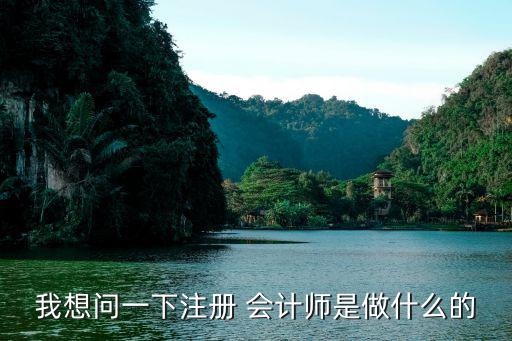 我想問一下注冊 會計師是做什么的