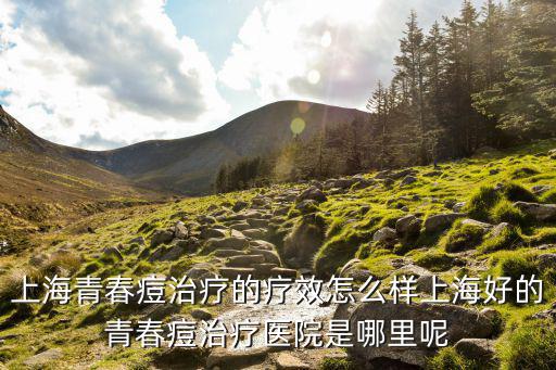 上海青春痘治療的療效怎么樣上海好的青春痘治療醫院是哪里呢