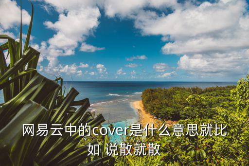 網易云中的cover是什么意思就比如 說散就散
